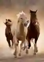 Rompecabezas De 1000 Piezas Paisaje Caballos Corriendo
