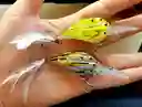 Señuelo De Pesca Cardumen De Lobina Rios Lagunas