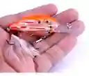 Señuelo De Pesca Cardumen De Lobina Rios Lagunas
