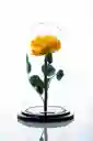 Rosa En Cupula Amarilla