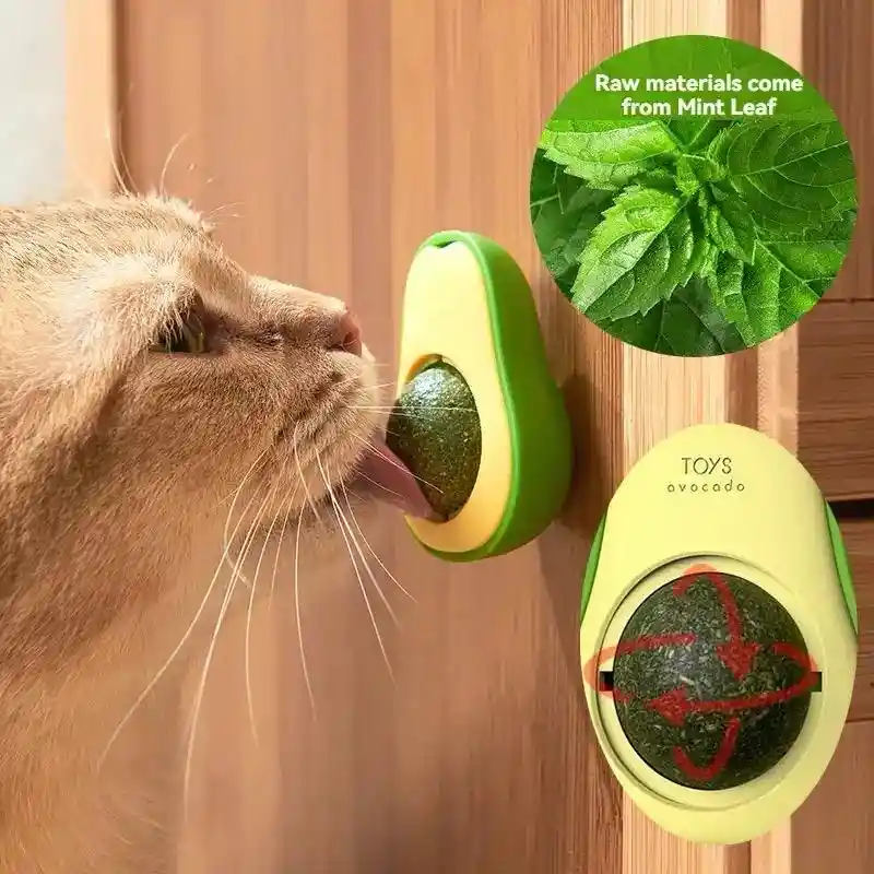 Juguete Interactivo Catnip Menta Gatuna Aguacate Para Gatos