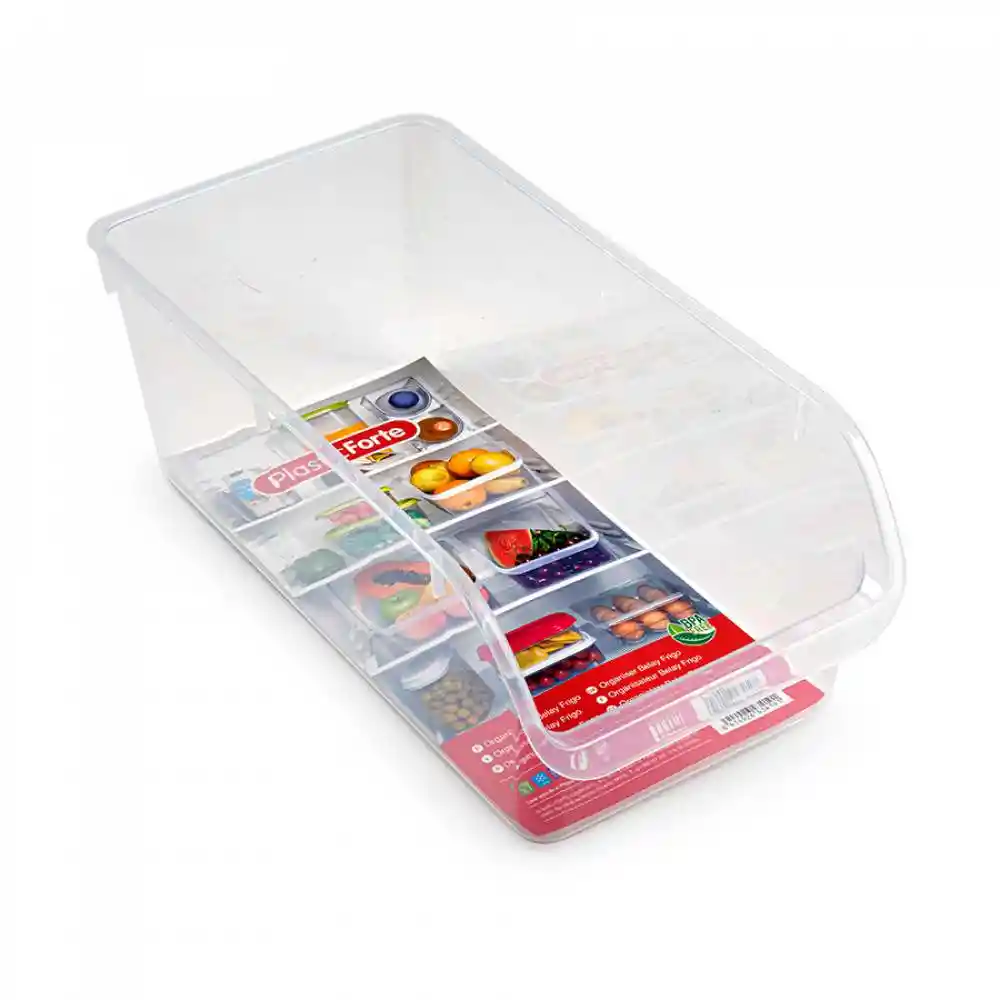 Organizador Plasticforte 19.5x36.5x13.5cm