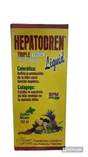 Hepatodren Triple Acción Solución Oral Frasco X 240 Ml Natural Freshly