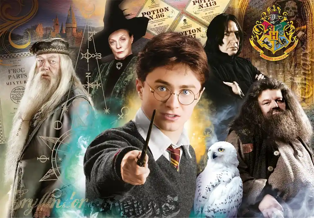 Rompecabezas 1000 Piezas Personajes De Harry Potter