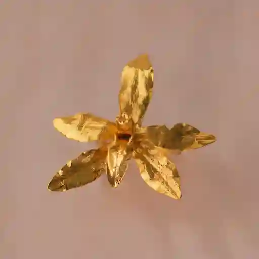 Anillo Orquidea Oncidium Maculatum