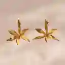 Aretes Topos Orquidea Martiana Brassavola