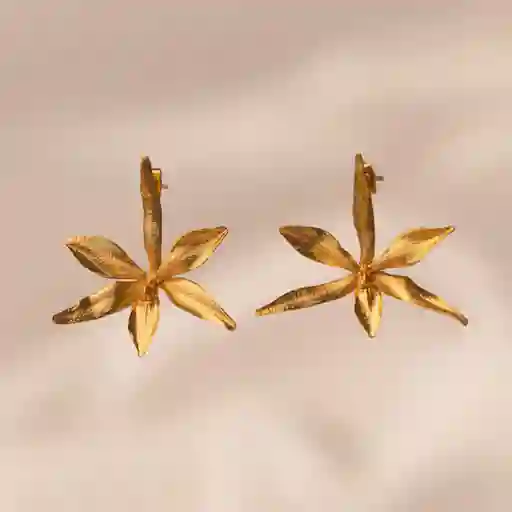 Aretes Topos Orquidea Martiana Brassavola