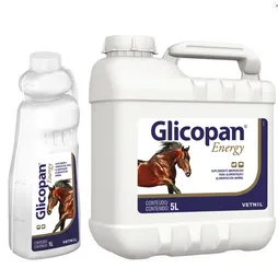 Glicopan Energy X 1 Litro