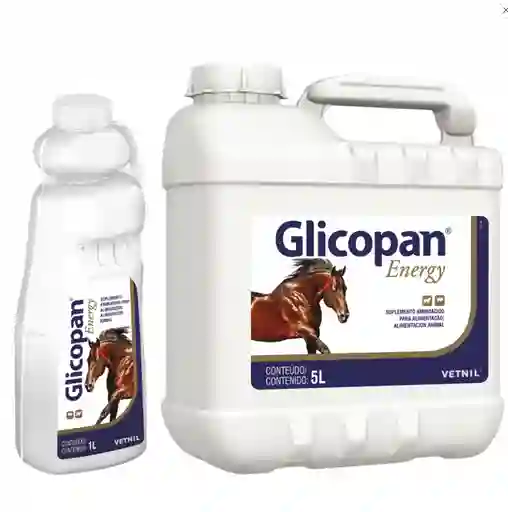 Glicopan Energy X 1 Litro