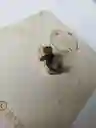 Aretes Para Dama