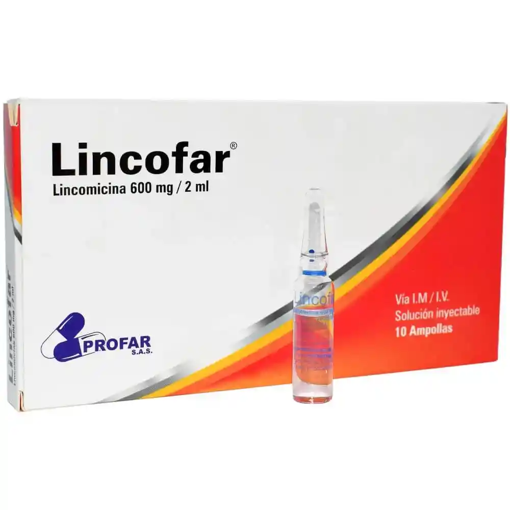 Lincomicina 600mg Caja X 10 Ampolla (lincofar)