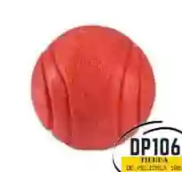 Pelota Mediana Para Mascotas X 1 Und Irrompible