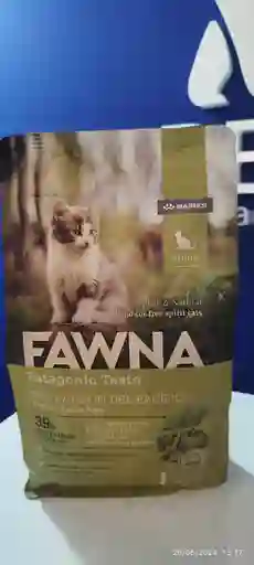 Fawna Alimento Seco Para Gatitos