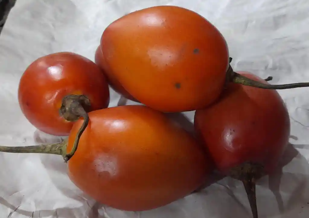 Tomate De Arbol