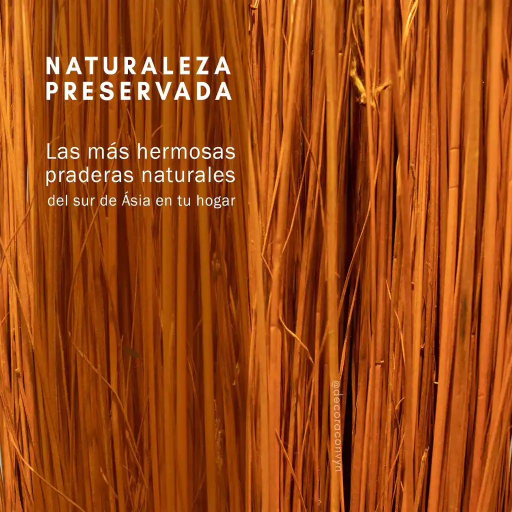 Pradera Otoño Natural