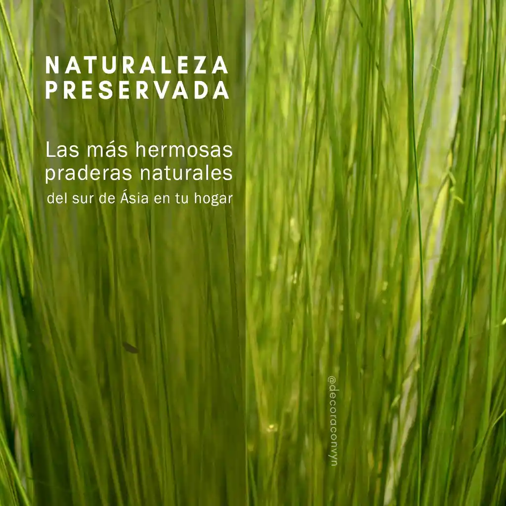 Pradera Natural