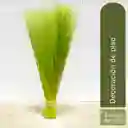 Pradera Natural