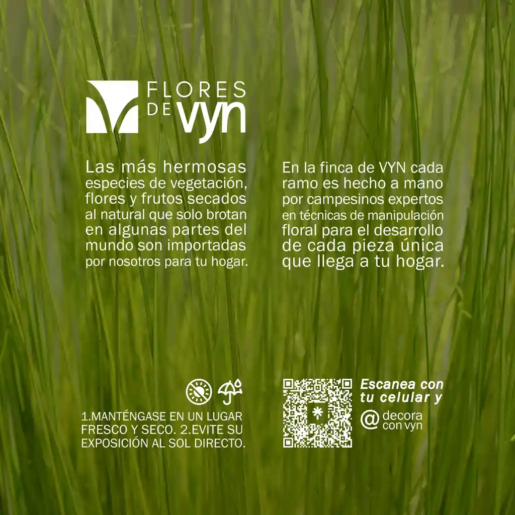 Pradera Natural