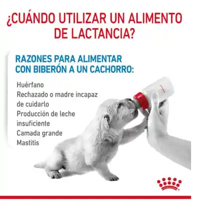 Royal Canin Babydog Milk