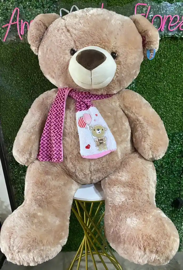 Oso De Peluche Gigante