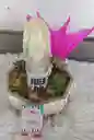 Terrario Con Imagen De Fe Y Suculentas