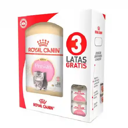 Royal C. Gato Persa Kitten X2 Kg +3lata