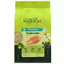 Guabi Natural – Salmón Y Cebada Gato Adulto 1,5 Kg