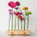 Jardin Floral Mae