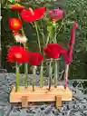 Jardin Floral Mae