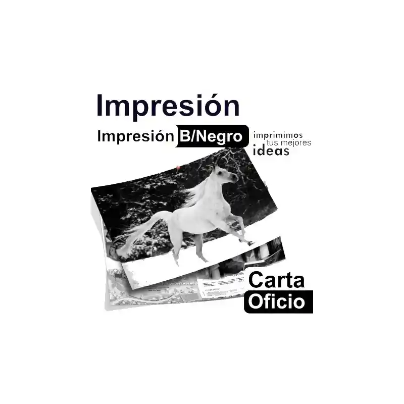 Impresión A Blanco Y Negro Oficio