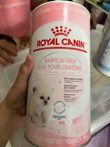 Royal Canin Baby Cat Milk, Leche Para Gatos