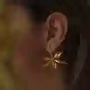 Aretes Topos Orquidea Martiana Brassavola
