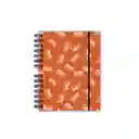 Agenda Semanal Naranja Mariposas