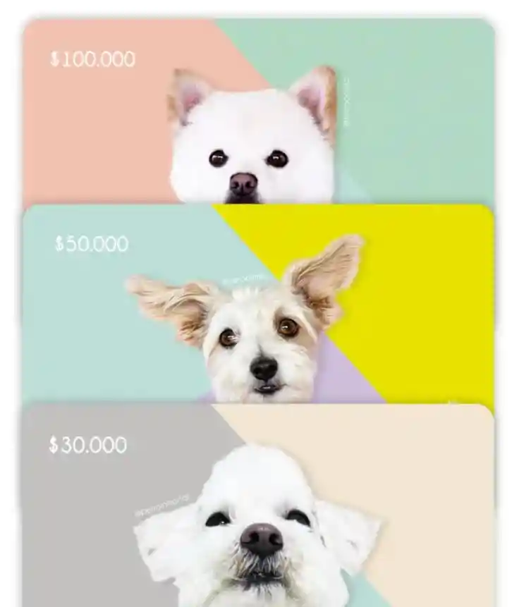 Bono De 100.000 Pesos (h) - Rappi