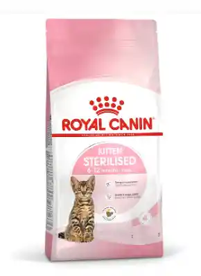 Kitten Sterilised