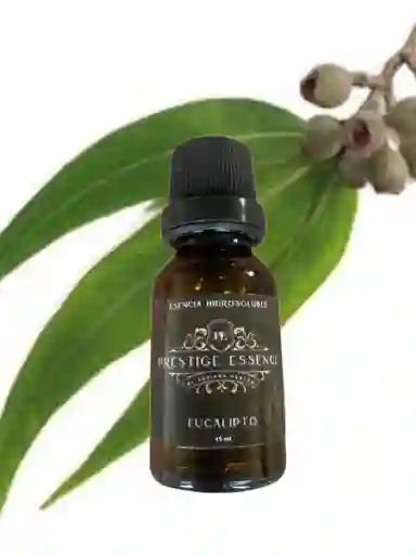 Esencia Hidrosoluble Eucalipto Para Difusor Humidificado
