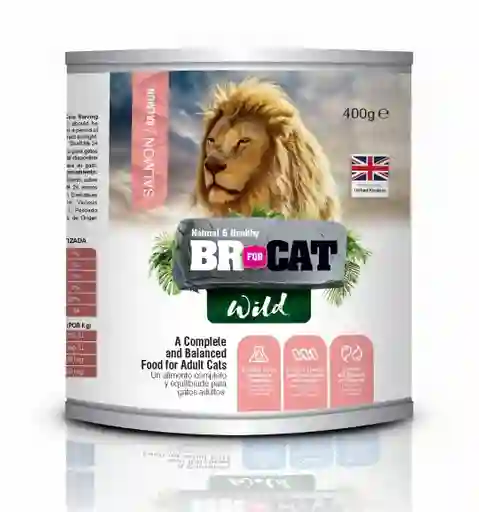 Lata Br For Cat Salmon 400g