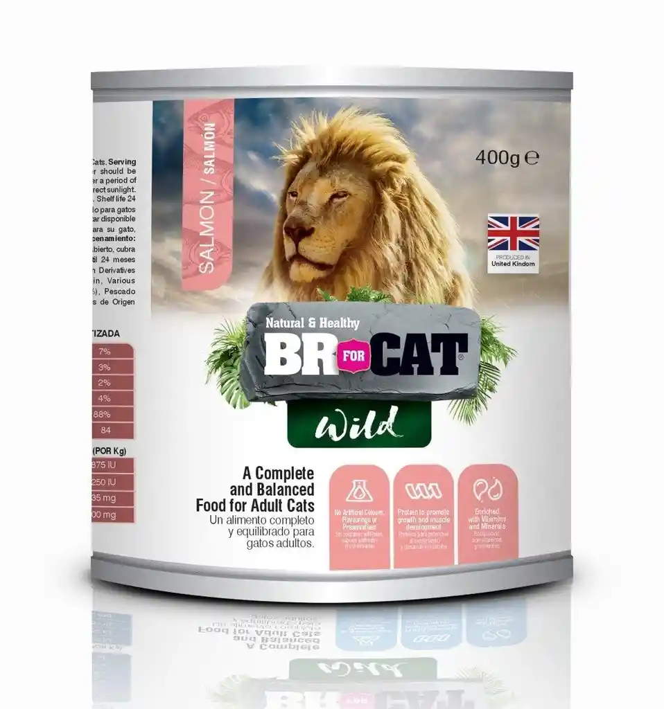 Lata Br For Cat Salmon 400g