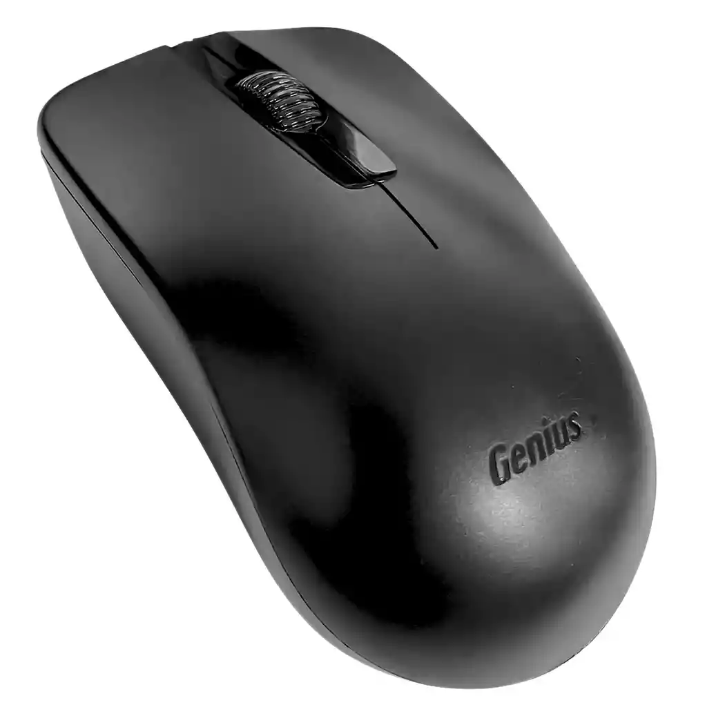 Mouse Inalámbrico Usb Genius Nx-7000x