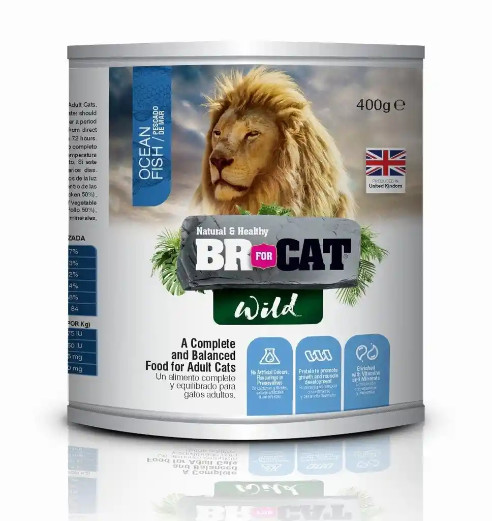 Lata Br For Cat Pescado Ocean Fish 400g