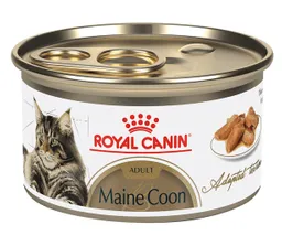 Lata Royal C. Gato Maine Coon X 85gr