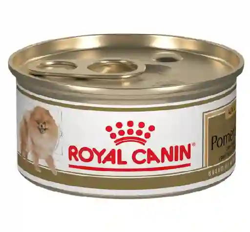 Lata Royal C. Perro Pomerania X 85gr