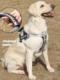 Arnés Reflectivo Para Perros Medianos Y Grandes Talla M, No Incluye Lazo