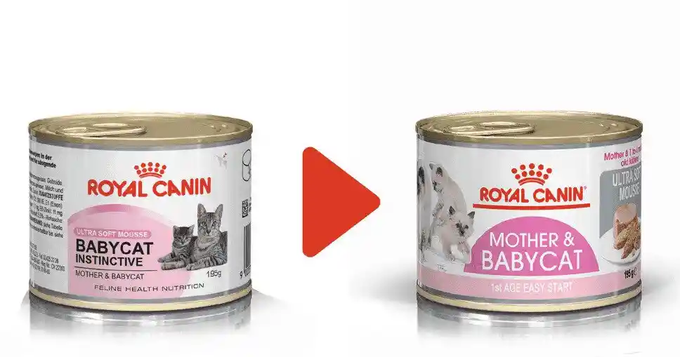 Royal Canin Mother Y Babycat Comida Humeda Madres Y Gatitos