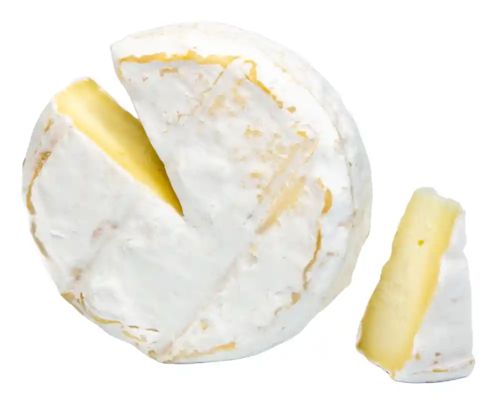 Queso Brie