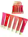 Rubor Y Lip Gloss Liquido Blush On The Go Warda Beauty Tonos Surtidos Ref 613