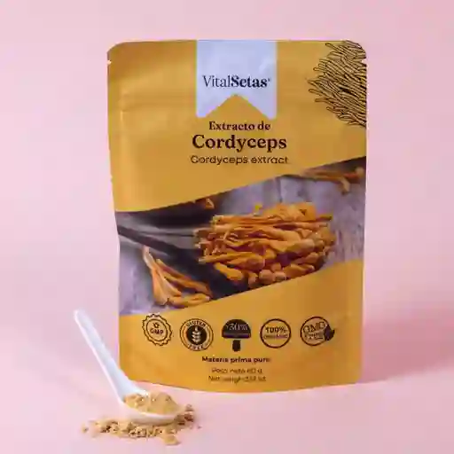 Extracto De Cordyceps - Vitalsetas - 60g