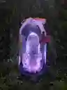 Cupula De Vidrio Con Virgen