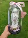 Cupula De Vidrio Con Virgen
