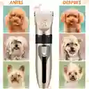 Maquina De Peluquería Canina Kit Mascotas Inalámbrica Full